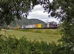 193 657 (TX Logistik) war am 16.08.21 mit einem Containerzug in Etzelbach zu sehen.