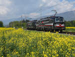 Lokzug mit der Vectron 193 657  Lago Maggiore  bei Deitingen am 3. Mai 2022.
Foto: Walter Ruetsch