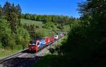 193 463 mit einem KLV am 28.04.2022 bei Villnachern.