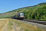 193 602 mit Kasteln in Thüngersheim am 19.7.2022 gen Würzburg.