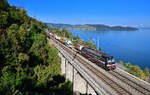 193 658 mit einem KLV am 06.10.2022 bei Immensee.