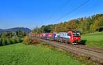 193 476 mit einem KLV am 06.10.2022 bei Immensee.