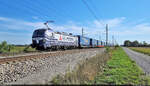 Dreimal Vectron (2/3):  Sattelauflieger der LKW Walter Internationale Transportorganisation AG hat 193 828-1  Hannah  am Haken, mit denen sie bei Götzendorf an der Leitha (A) Richtung Wien (A)