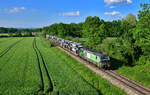 193 208 mit einem Autozug am 29.05.2023 bei Wallersdorf.