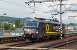 193 629 der Loko Train traf am 25.05.24 Lz in Decin ein.
