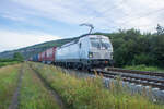 193 434-8 mit einem Containerzug bei Himmelstadt am 17.07.2024.