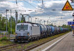 Lok 193 617 mit Kesselzug, mittlerweile der dritte Umleiter, durchfährt den Hbf Neustrelitz.