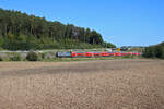 Railpool 193 802-6 und 193 806-7 sind mit einem RE19 von Nürnberg nach Sonneberg unterwegs, hier zwischen Mönchröden und Neustadt (bei Coburg). (01.10.2023)