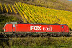 193 941 der Fox Rail am 4.11.2024 beim Bopparder Hamm.