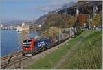 Die an SBB Cargo vermietet 193 060 ist mit einem Güterzug in Richtung Wallis kurz vor Villeneuve unterwegs. Im Hintergrund ist das Château de Chillon zu sehen. 

14. November 2024