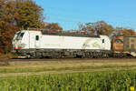 91 80 7193 302-5 D-TXL am 16.11.2024 bei Eglharting.