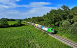 193 989 mit einem Coilszug am 26.07.2024 bei Wallersdorf.