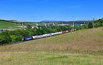 193 608 mit einem Containerzug am 11.08.2024 bei Marktbreit.