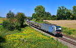 193 141 mit einem Kesselzug am 13.08.2024 bei Langenisarhofen.