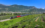 193 707 + 193 xxx mit einem KLV am 29.08.2024 bei Rovereto.