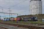 Siemens Vectron 193 660-8 durchfährt am 24.09.2024 den Bahnhof Pratteln.