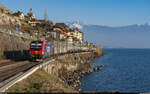 SBB Cargo 193 054 / St-Saphorin, 5. Februar 2025<br>
WLV-Zug 61078 Sion - Lausanne-Triage