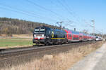 X4E 606 (193 606-1) in Richtung Frankfurt/M. Hbf.am 19.02.2025 bei Kerzell 