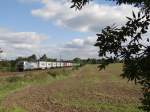 193 806 zusehen mit einem Containerzug am 23.09.14 an der Schöpsdrehe bei Plauen/V.