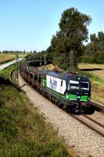 RTB 193 832 ist am 17.9.2014 unterwegs mit einem leeren Autozug bei Moos