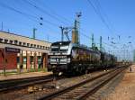 X4E 875  Connecting Europe  + X4E 877 + X4E 872 in Bahnhof Hegyeshalom.