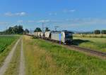 193 811 mit einem Getreidezug am 28.06.2015 bei Wallersdorf.