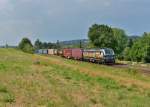 193 875 mit DGS 41157 am 08.08.2015 bei Passau.