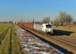 193 610 mit einem Holzzug am 26.01.2016 bei Plattling.