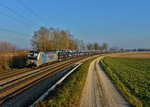 193 810 mit einem Autozug am 20.03.2016 bei Langenisarhofen.