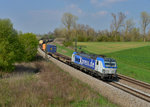 193 881 mit DGS 41139 am 10.04.2016 bei Langenisarhofen.