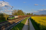 193 242 mit einem Holzzug am 25.04.2016 bei Langenisarhofen.