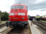 103 233-3 und 103 220-0 im Hintergrund am 14.06.14 beim Sommerfest des DB Museum Koblenz Lützel 