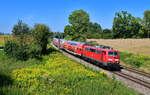 111 087 mit einem RE3 am 13.08.2024 bei Langenisarhofen.