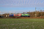 DB Gebrauchtzug 111 074  Hilde  zieht den TRI-Ersatzzug als RB17c von Bruchsal nach Bretten und verlässt hier gerade Helmsheim. (16.01.2024)