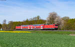 114 029 und 114 022 mit der RB 15091 (Gießen – Hanau Hbf) bei Kirch Göns 3.5.23
