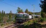 E40 128	mit dem DPE 74231 (Titisee - Seebrugg) am Windgfällweiher 1.9.24