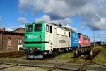 Am 08.10.2017 stand die DP 64 (142 199-9 ) im Historischen Lokschuppen Wittenberge beim Herbstfest .