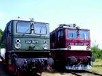 Deutsche Reichsbahn: BR 242 in grn und BR 251(Rbelandbahn) in weinrot, hier 2005 ausgestellt in Weimar