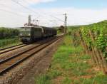 BayernBahn E 42 151 mit dem  Henkelzug  DGS 88913 von Langenfeld nach Wassertrdingen, bei Erbach im Rheingau; 25.08.2010