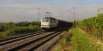 DP 57 (142 126-2 D-WAB) mit dem DGS 88913 von Langenfeld nach Wassertrdingen, bei Erbach (Rheingau); 06.10.2010