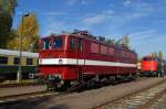 142 110-6 der Erfurter Bahnservice bei dem 12.