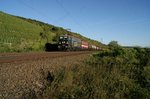 Vor der Kulisse von Weinbergen zogen 142 145 und 142 110 der Erfurter Bahnservice GmbH einen unbekannten Kesselwagenzug zwischen Veitshöchheim und Thüngersheim durch das Maintal.