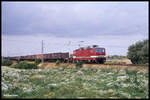 DR 243213 ist hier am 4.10.1991 bei Teschenhagen mit einem Güterzug in Richtung Greifswald unterwegs.