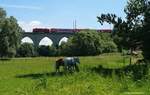 Eine unbekannte 143 befährt den Saaleviadukt in Hof Unterkotzau mit dem damaligen Dosto-RE3.