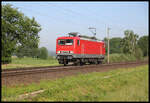 Solo kommt hier die private 143175-8 über die KBS 375 bei Westerhausen. Am 10.6.2021 war sie um 8.15 Uhr von Osnabrück kommend in Richtung Löhne unterwegs.