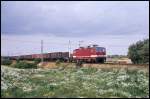 DR 243213 war am 4.10.1991 mit einem Güterzug bei Teschenhagen in Richtung Greifswald unterwegs.