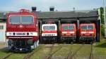 Am 19.5.12 fand eine Ausstellung zum 30 jährigen Jubiläum der Baureihe 143 im Eisenbahnmuseum Weimar statt.