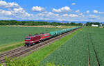 243 936 + 155 119 mit einem Getreidezug am 14.05.2024 bei Straubing.