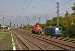 Nachschuss auf 261 019-4 (Voith Gravita 10 BB) als Tfzf, die im Bahnhof Schönebeck(Elbe) Richtung Magdeburg-Buckau an 151 078-3 vorbeifährt.

🧰 DB Cargo | Eisenbahngesellschaft Potsdam mbH (EGP)
🕓 26.9.2021 | 10:27 Uhr