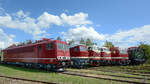 250 250-8 in einer Reihe mit anderen Lokomotiven aus der DDR-Zeit. (Weimar, August 2018)
